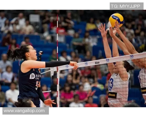 深圳排球队在世界杯中的表现分析与状态评估