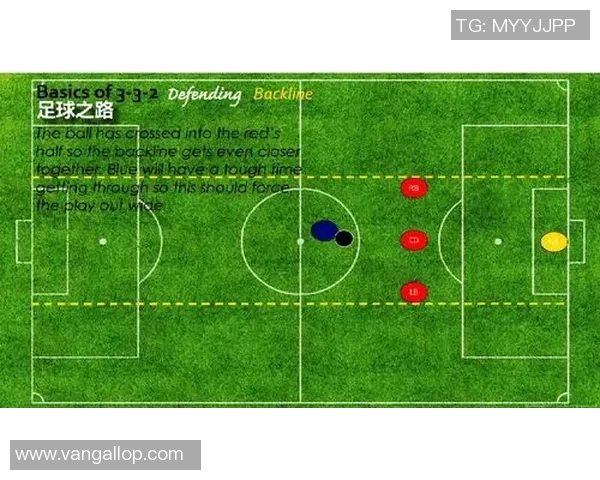 深入分析上海乒乓球队区域防守战术的特点与应用策略
