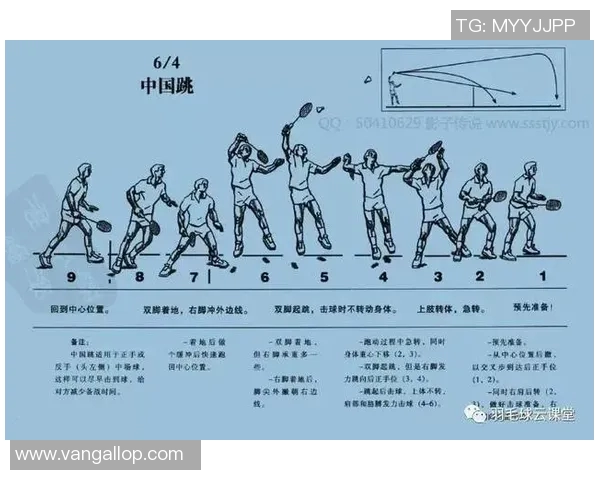 羽毛球深度解析：探秘杭州羽毛球队的战术控制与训练秘诀