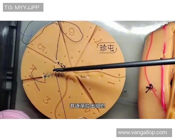 上海篮球队反击战术解析与实战应用探讨 上海篮球队反击战术解析与实战应用探讨