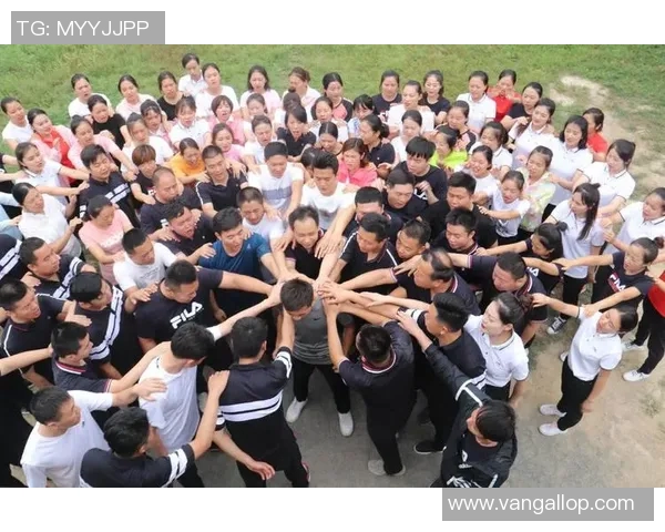 南京乒乓球队在冠军赛中的卓越表现与团队力量的深度解析