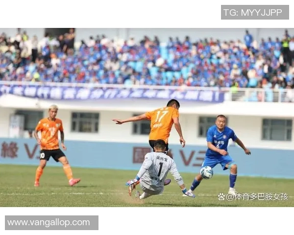 南京排球队配合问题引发热议球迷对战术执行和队员默契提出质疑