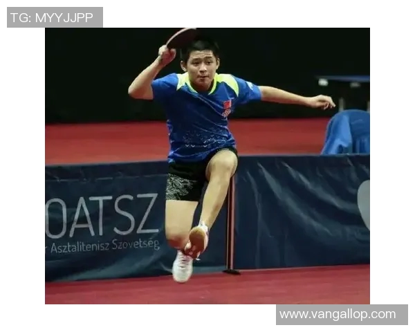 南京网球队总决赛心理素质分析与表现评估的深度解读