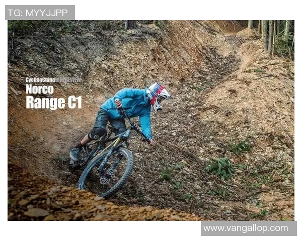 未来之星崛起最有潜力的年轻足球明星盘点与展望 未来之星崛起最有潜力的年轻足球明星盘点与展望