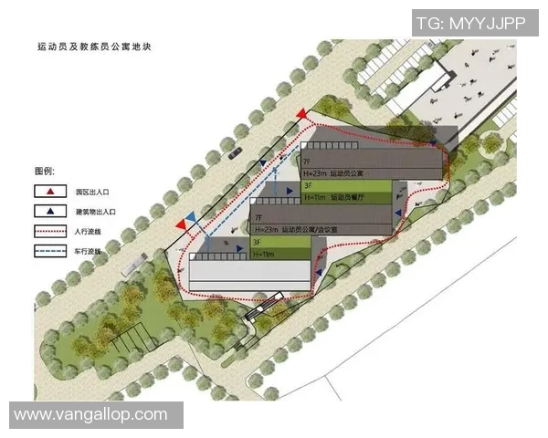 杭州排球队个人能力深度解析与发展潜力探讨 杭州排球队个人能力深度解析与发展潜力探讨