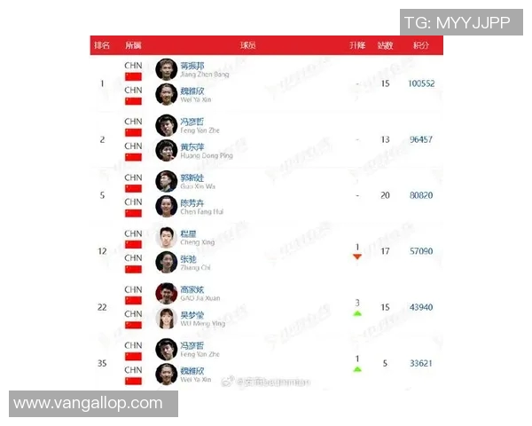 杭州羽毛球队实力强劲荣登全国羽毛球力量排行榜第八名