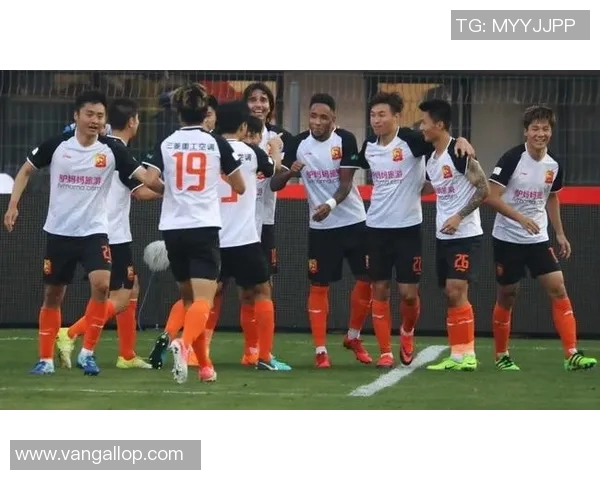 武汉排球队的崛起之路：从默默无闻到全国瞩目的冠军之旅