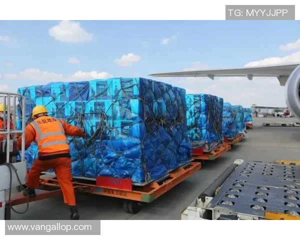 武汉羽毛球队选拔赛特别报道：奋勇拼搏铸就辉煌突破之路