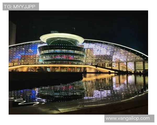 杭州足球队在洲际杯中的蜕变与崛起之路探秘