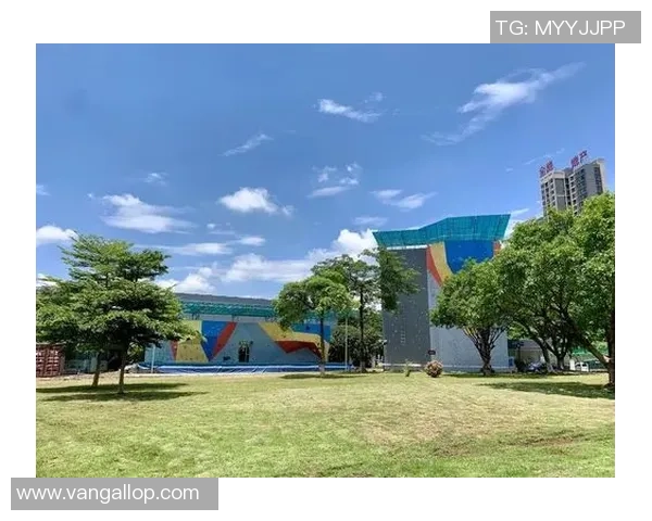 武汉攀岩队状态分析及表现评估的综合数据研究报告