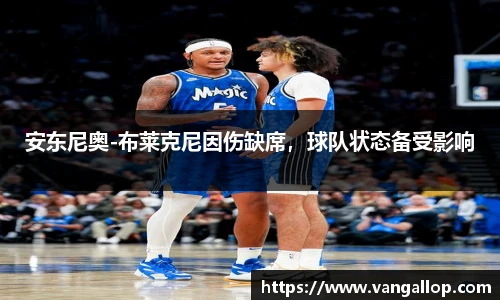 BB贝博