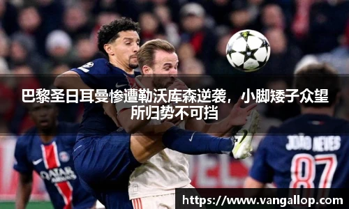 BB贝博登录入口