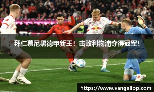 BB贝博ballbet