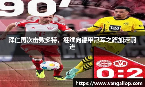 BB贝博登录入口