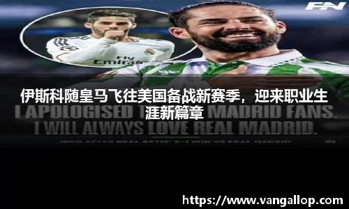 BB贝博登录入口