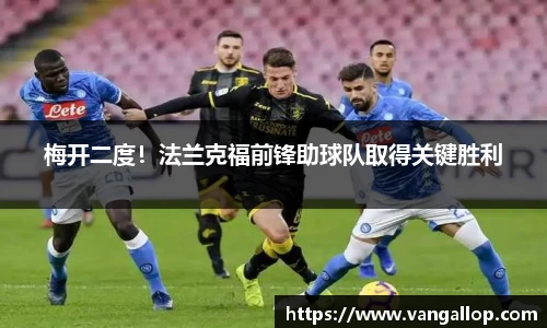 BB贝博登录入口