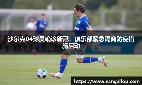 BB贝博登录入口