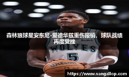 BB贝博登录入口