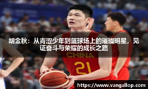 BB贝博登录入口