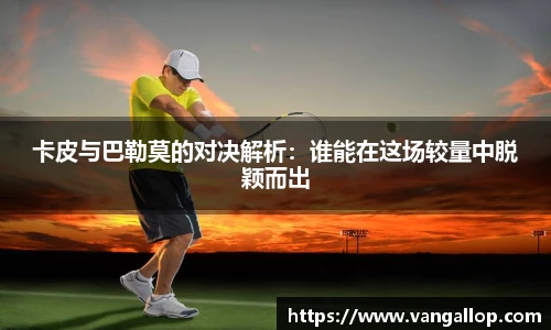 BB贝博登录入口